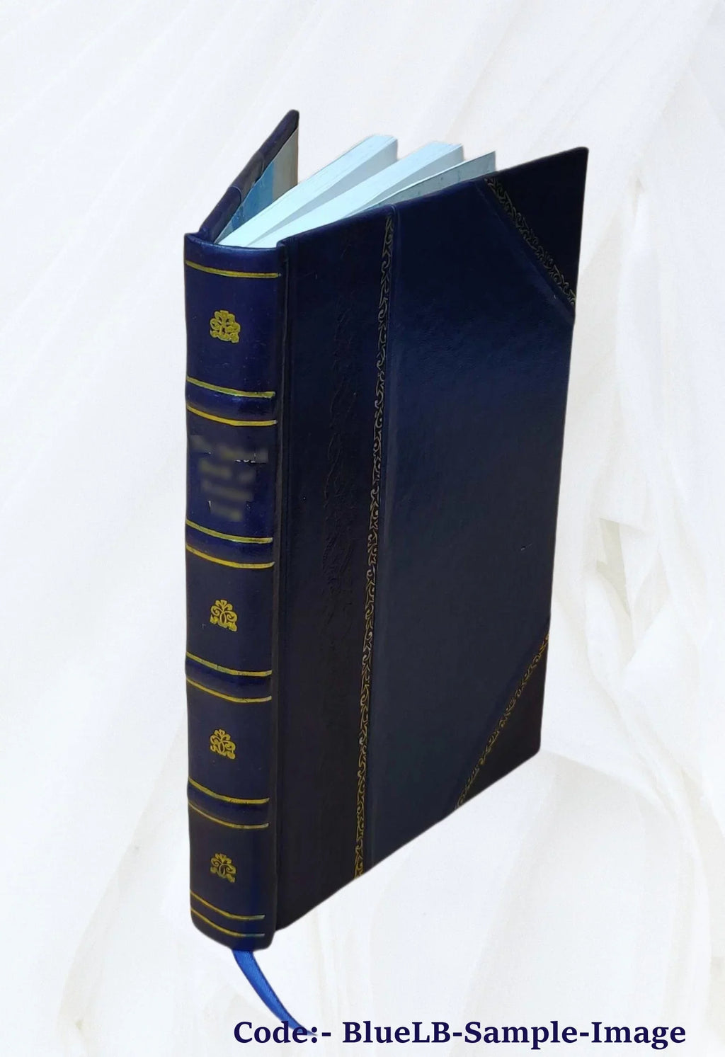 Back-bone; photographed from "The Scalpel." By Edward H. Dixon ... 1866 [Leather Bound]