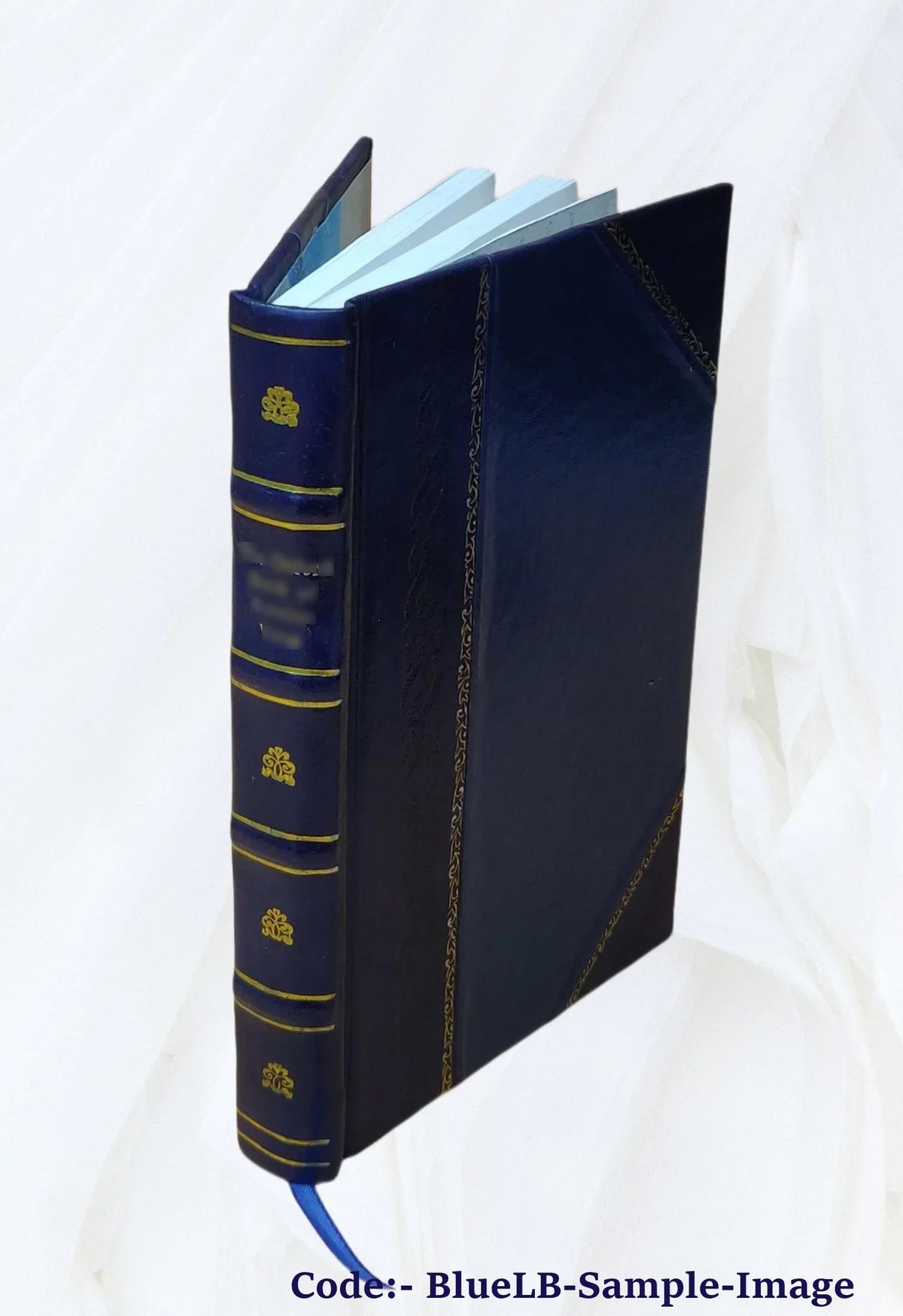Back-bone; photographed from "The Scalpel." By Edward H. Dixon ... 1866 [Leather Bound]