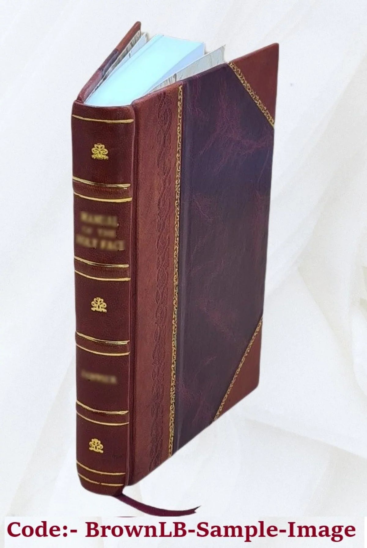 Back-bone; photographed from "The Scalpel." By Edward H. Dixon ... 1866 [Leather Bound]