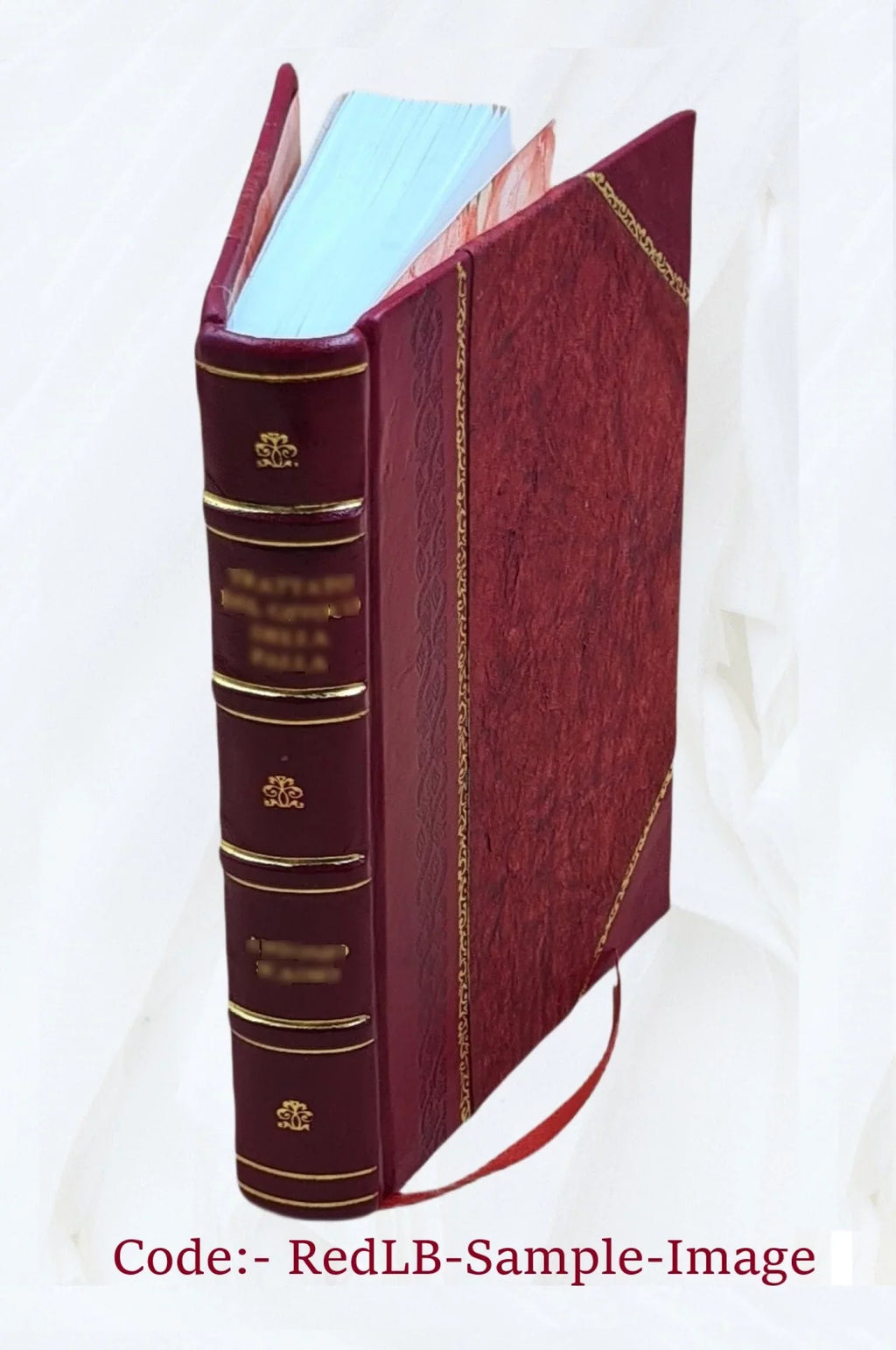 Back-bone; photographed from "The Scalpel." By Edward H. Dixon ... 1866 [Leather Bound]