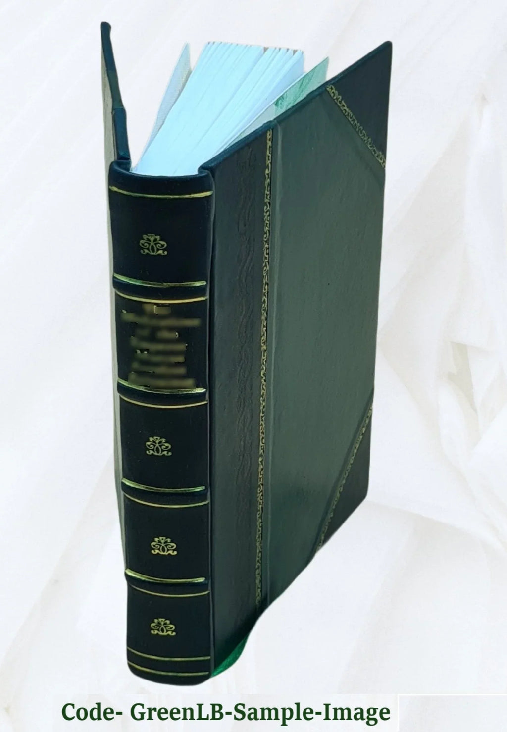 Diario de su residencia en Chile (1822) y su viaje al Brasil (1823): San Martin, Cochrane, O'Higgins; 1900 [Leather Bound]